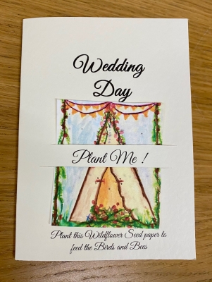 *  Our Little Seed Co. Tepee Wedding Day