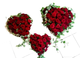 *Loose Heart Red Rose Trio